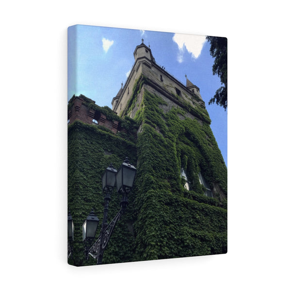Ivy Covered House Canvas Print, Budapest, Hungary